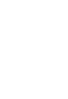Palms Avenue